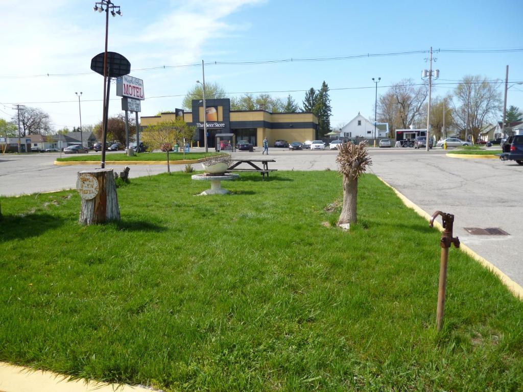 Maple Glen Motel London Extérieur photo